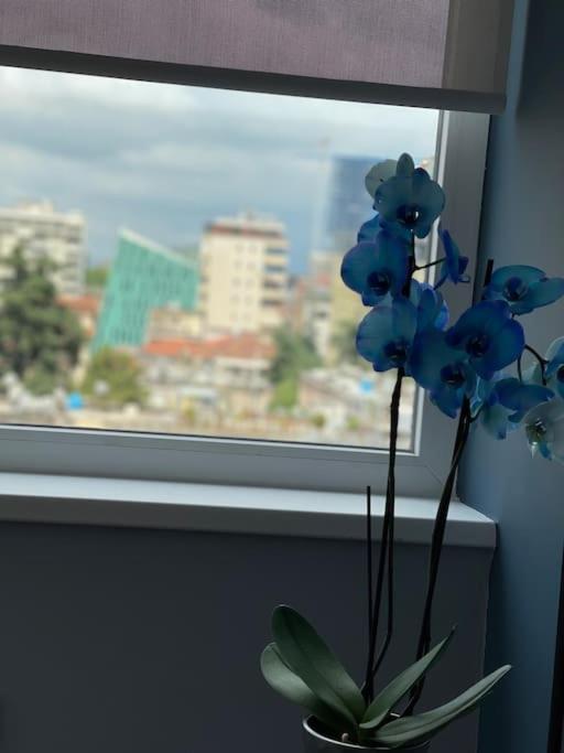 Voyage Penthouse Lägenhet Tirana Exteriör bild